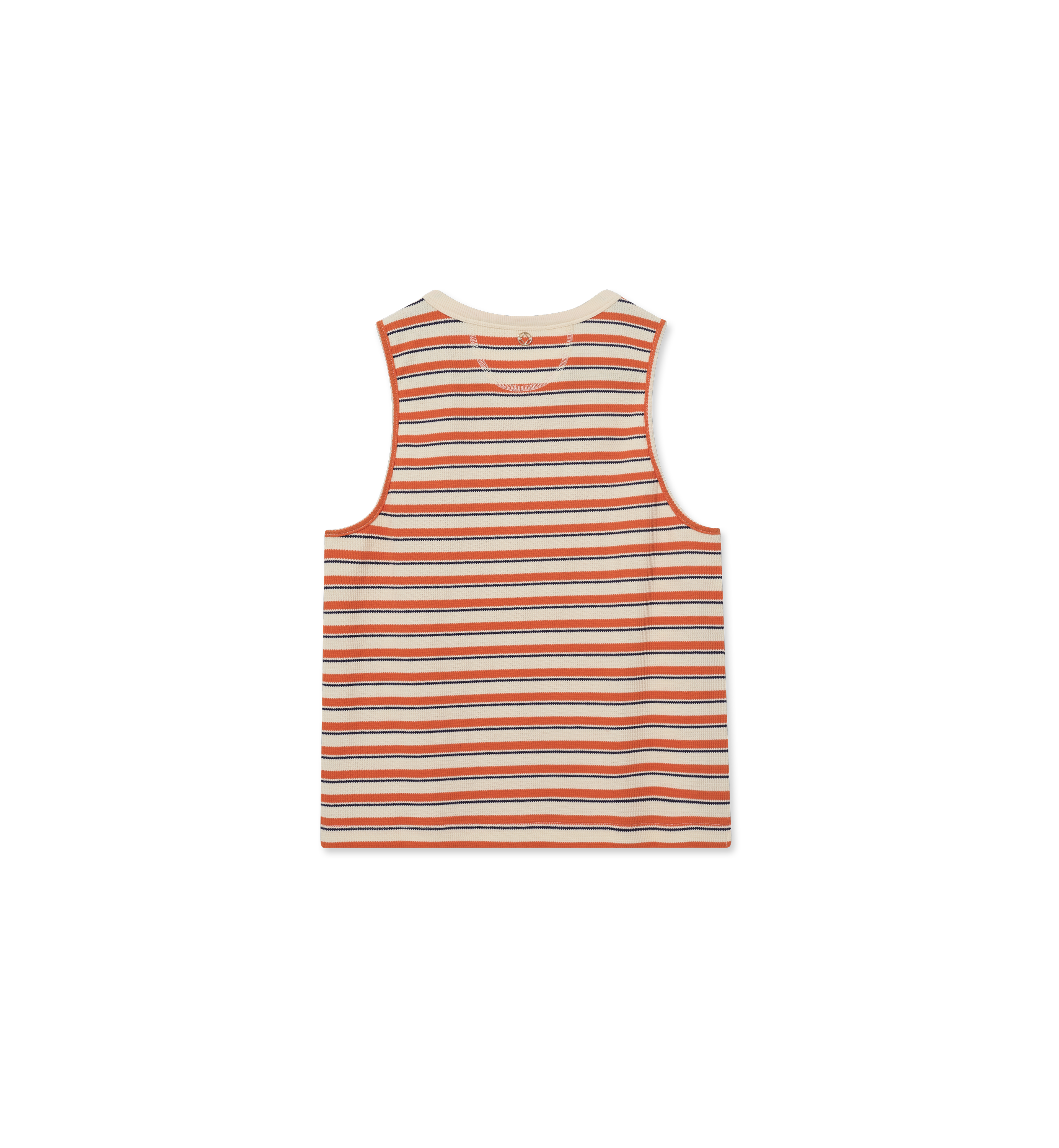 Packshot / Carrot / Back